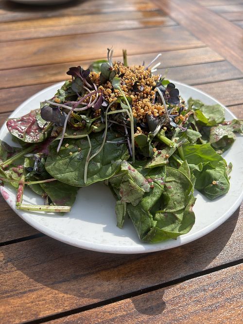 Blueberry crunch salad without goat cheesee  at Harvest Pizzeria in Bexley