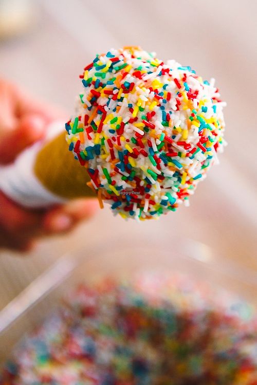 Meine Kleine Eiszeit