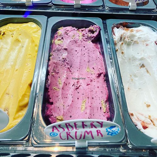 Vegan! at Betty's Icebox in Asbury Park