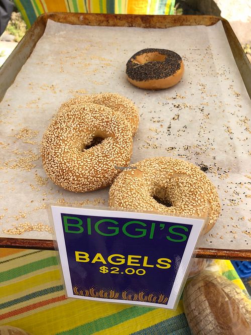 Bagels are popular! at Biggi's Organic Breads in Bangor