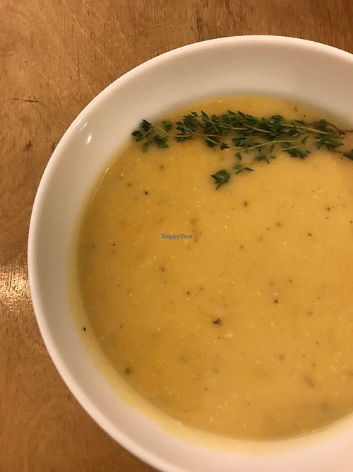 Vegan soup at Massolit Cooks in Krakow