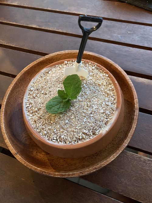 ‘Pot plant’ ice cream dessert (this version is gluten free too) at Doko Demo V in West Burleigh