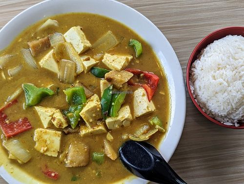 Yellow curry tofu over rice at Simply Ramen in Albany