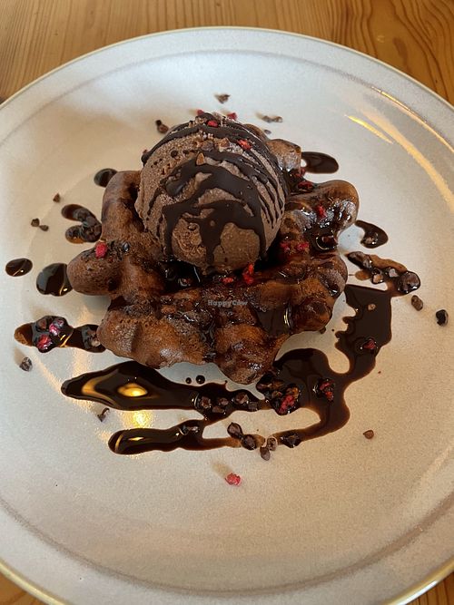 Waffle ice cream   at Marugoto Vegan Dining Asakusa in Tokyo