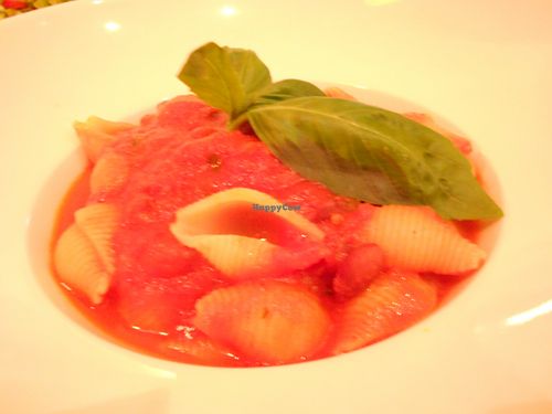 italian pasta : conchiglie and tomato at Cafe Botanika in St Petersburg