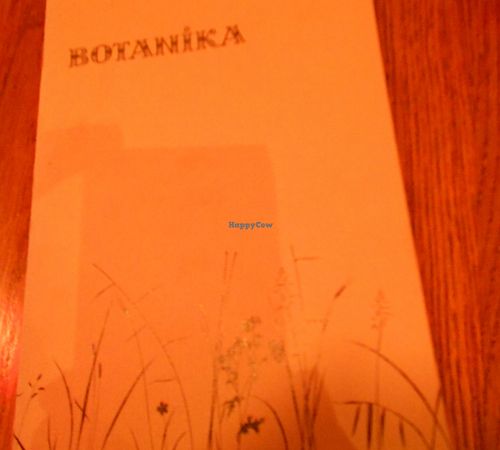 menu at Cafe Botanika in St Petersburg