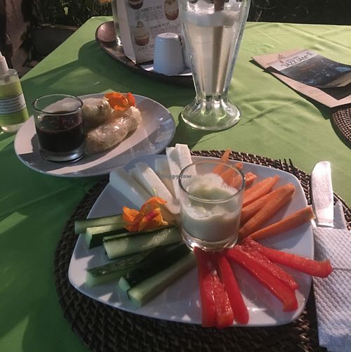 raw platter with raw hummus and rice paper rolls at Manik Organik in Seminyak