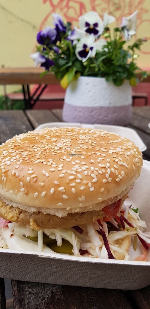 Burger 1 at Plant Blazed - Food Van in Wellington