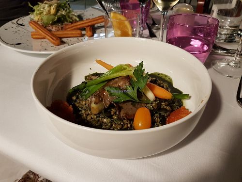 Grain dish with spirulina and cooked veggies at Restaurant Comte Roger in Carcassonne