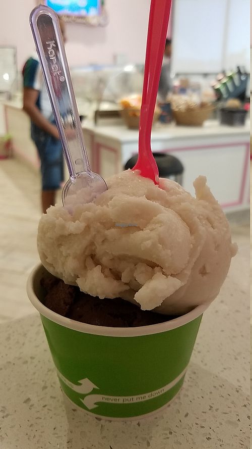 Vegan ice cream at EddieWorld in Yermo