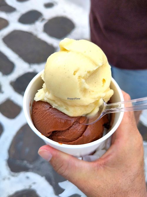 Vegan chocolate and lemon ice cream at Bon Bon Fait Maison - Maybe closed in Mykonos