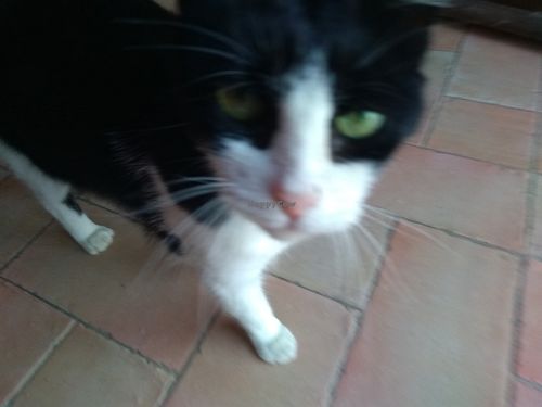 :) at Agriturismo La Lenticchia in Forli