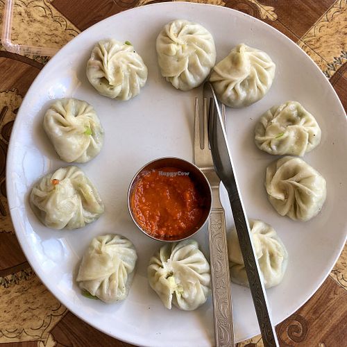 Momos at Lamayuru Restaurant in Leh