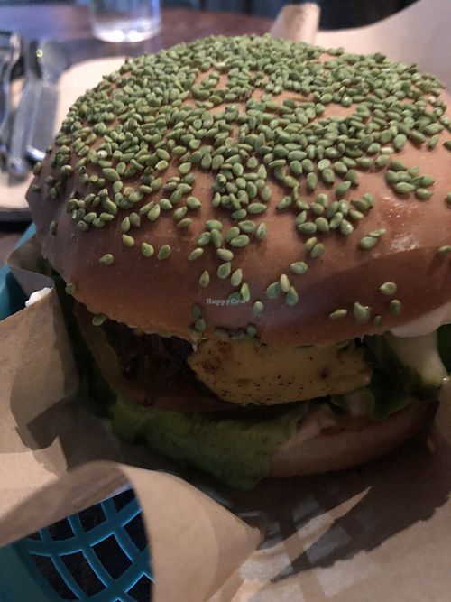 Spicy seitanic burger at Veganaes in Reykjavik