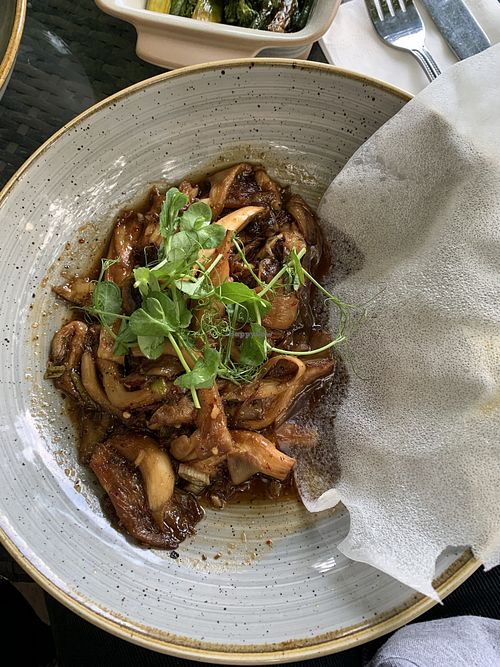 Mushroom starter at Saxon Mill in Warwick