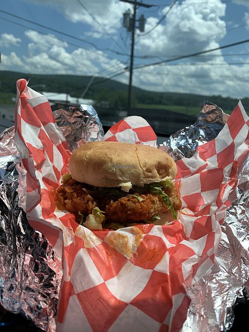 chick on sammy  at Thank Goodness It's Vegan in Goshen