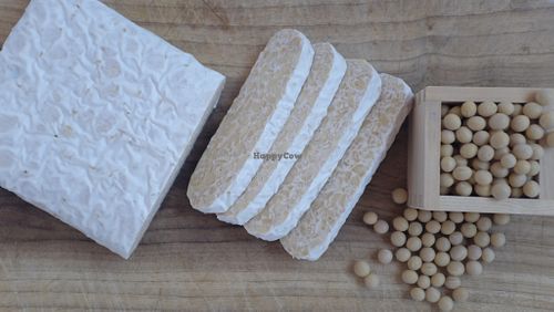 Soy Tempeh (300g) Sold Fresh-Frozen at Pura Tempeh Co.  in Kutchan