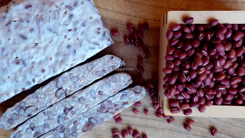 Organic Azuki Tempeh (200g) Sold Fresh  at Pura Tempeh Co.  in Kutchan