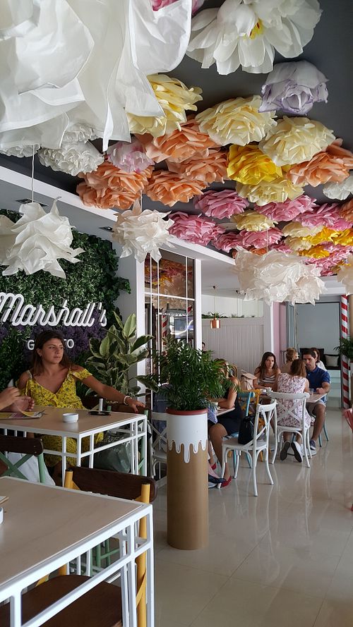 MG indoors at Marshall's Gelato in Sarajevo