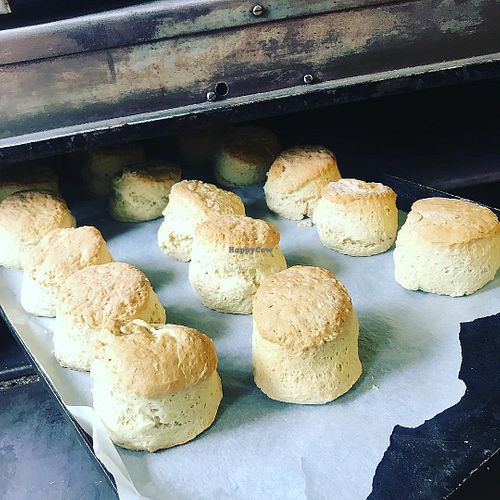 vegan scones at Badgers Holt in Princetown
