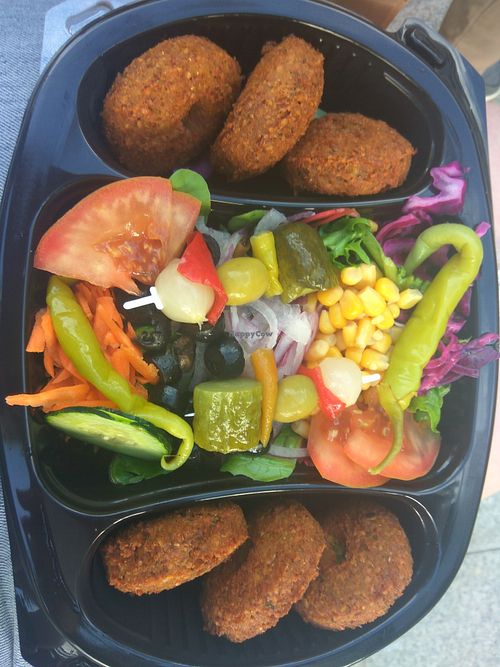 Falafels and salad at Falafel Gourmet  in Alicante
