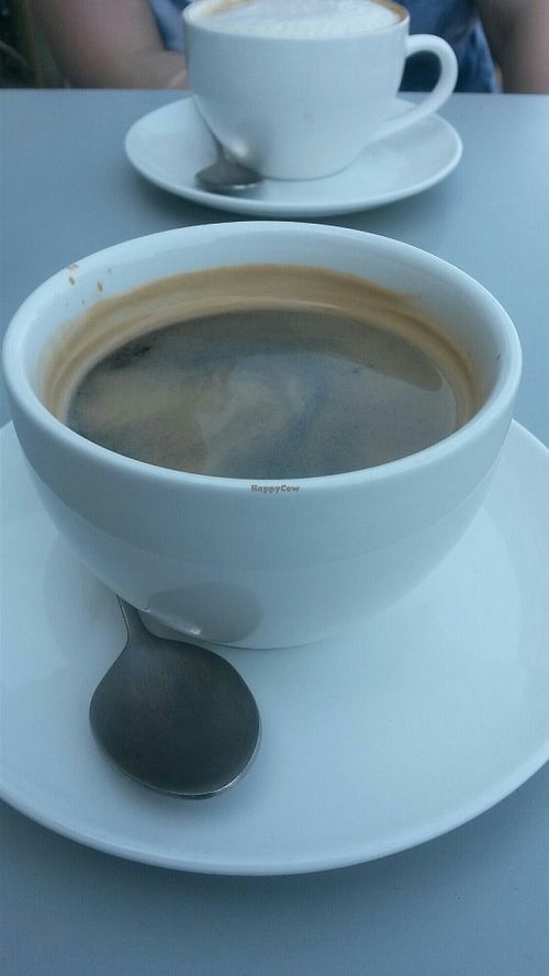 Great americano at Love Lily Cakes in Sunderland