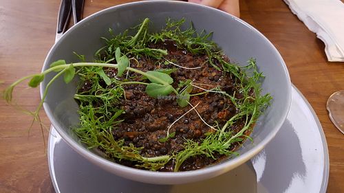 Lentil chili at 66 Green Restaurant in Perigueux
