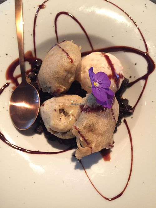 The Fat Lion
 at Meatless District - De Pijp in Amsterdam