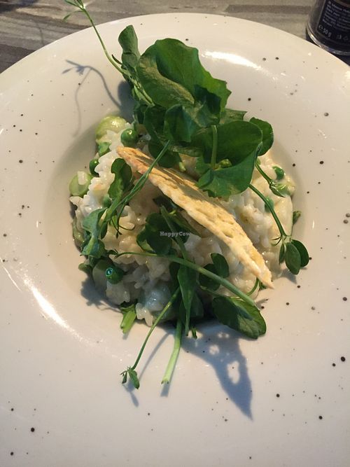 Risotto at Meatless District - De Pijp in Amsterdam