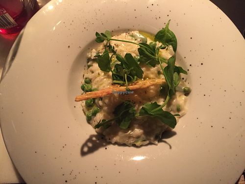 Risotto at Meatless District - De Pijp in Amsterdam