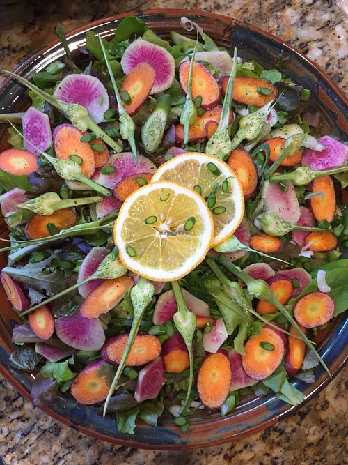 Summer Salad at Plant Based Only Catering in Austin
