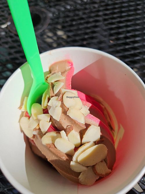 Chocolate and pomegranate at Swirls Frozen Yogurt in Parker
