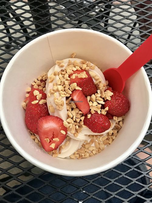 Swirls Frozen Yogurt Parker Colorado Ice Cream HappyCow