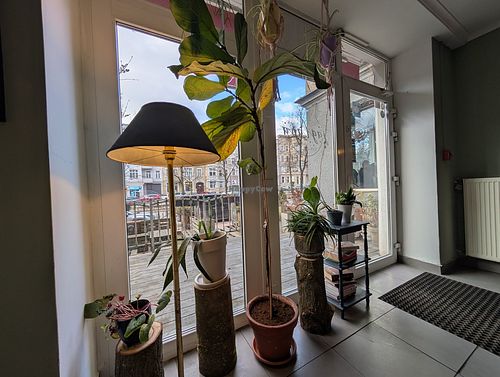 Interior at Bistro Jaglana in Szczecin