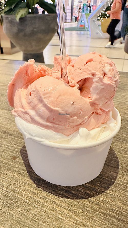   at Paradis in Copenhagen