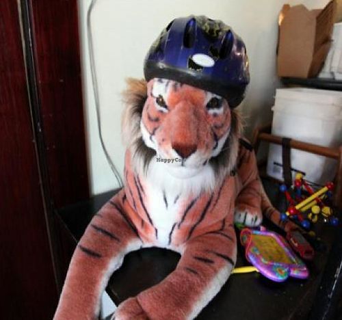 The Hungry Tiger Too at Hungry Tiger in Portland