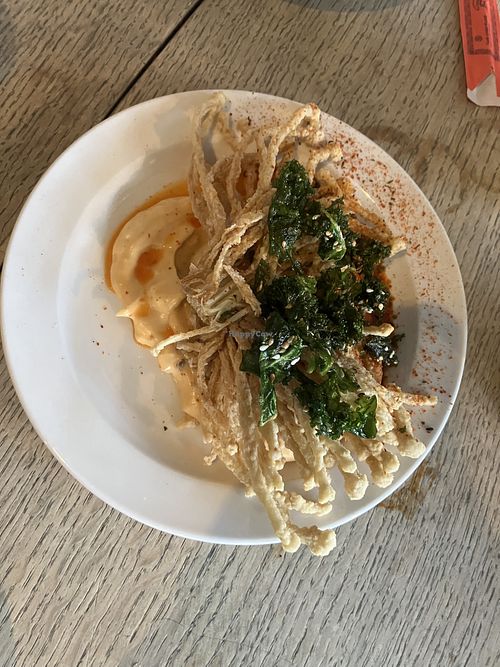   at Omni Cafe in Whitley Bay