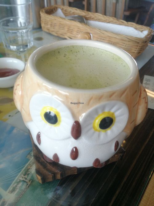 matcha oat latte at Coolife Owl 貓頭鷹藝品蔬食館 - Māotóuyīng in New Taipei City