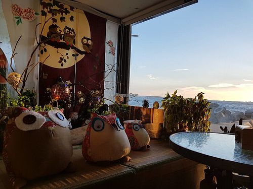 Cozy corner  at Coolife Owl 貓頭鷹藝品蔬食館 - Māotóuyīng in New Taipei City
