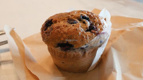 Image of Catnap Cafe