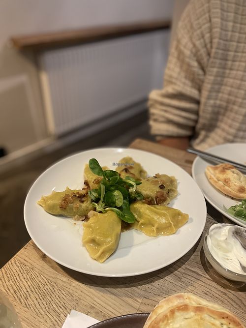 Vegan boiled pierogis  at Na Winklu in Poznan