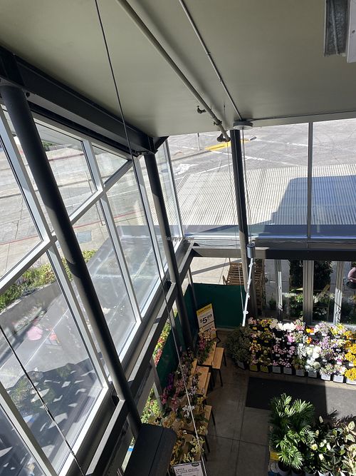 Beautiful Flower/Floral Section Near Side Entrance 🌸  at Whole Foods Market - Oakland in Oakland