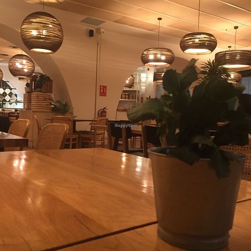The plant here is also not happy   at GreenVita - Diagonal Mar - Maybe closed in Barcelona