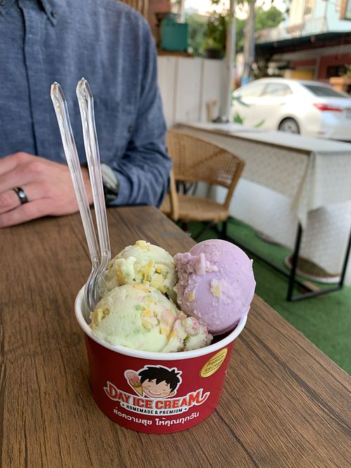 Jackfruit & taro vegan ice cream- amazing at All You Eat is Love in Chiang Mai