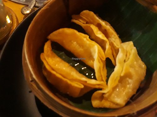 Fried dumplings at Seoul Vibe in Koh Phangan