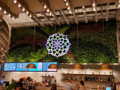 Live plant wall at Tocaya Organica - Fifth Ave in San Diego