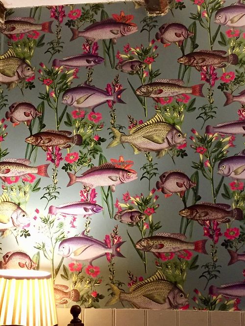 Funky wallpaper! at The Inglenook  in Pagham