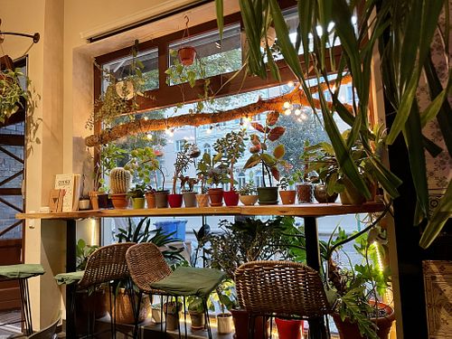 window 🍃 at Botanica in Magdeburg