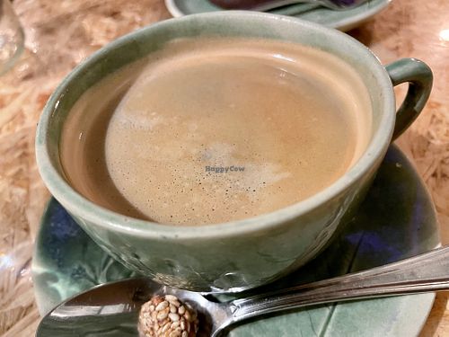 coffee at Botanica in Magdeburg