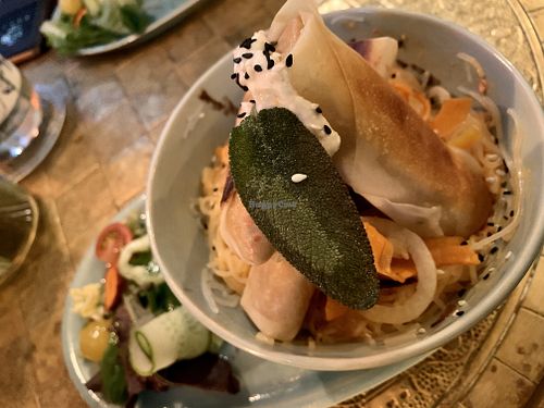 noodles & fried dumplings at Botanica in Magdeburg